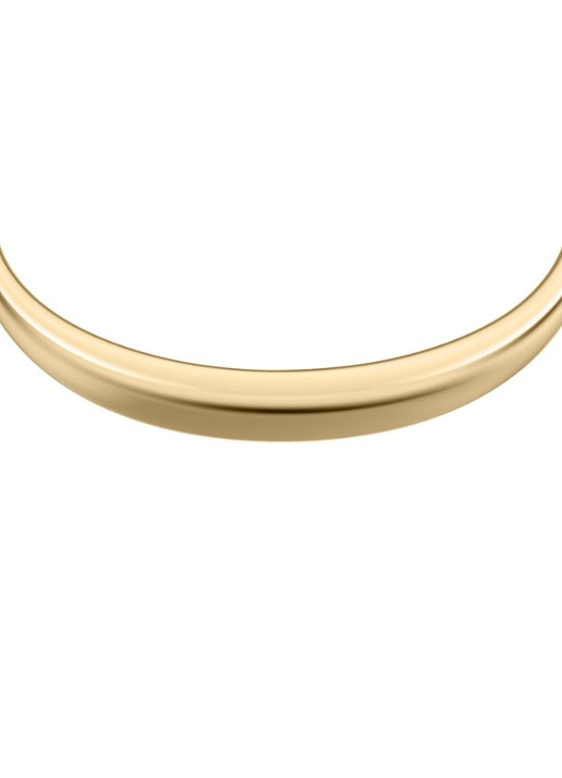 Fossil Ellis bangle JF05000710 - detail 2 goud