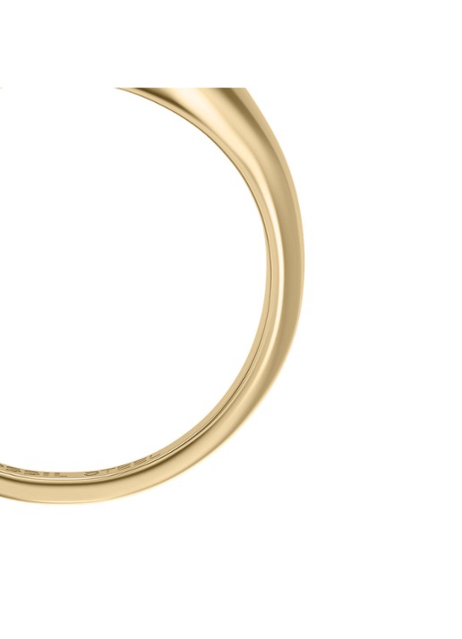 Fossil Ellis ring JF04981710 - detail 4 goud