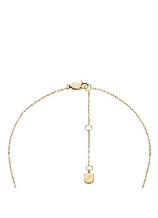 Fossil Ketting en oorstekers in set van 2  JF04815SET - detail 3 goud