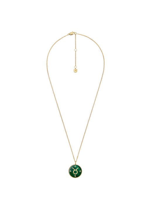 Fossil Ketting met hanger JF04839710 - detail 3 goud
