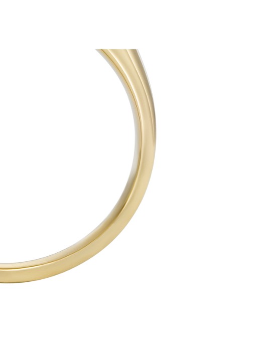 Fossil Ring JF04773710 - detail 3 goud