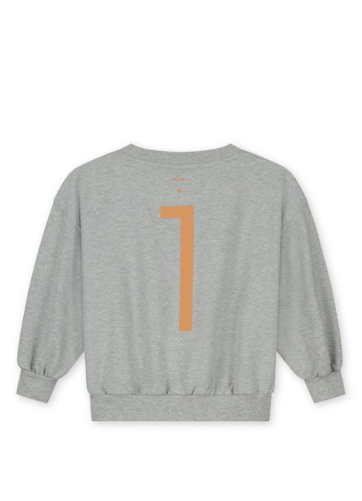 Gray Label Birthday sweater met ronde hals - achterkant grijsmele