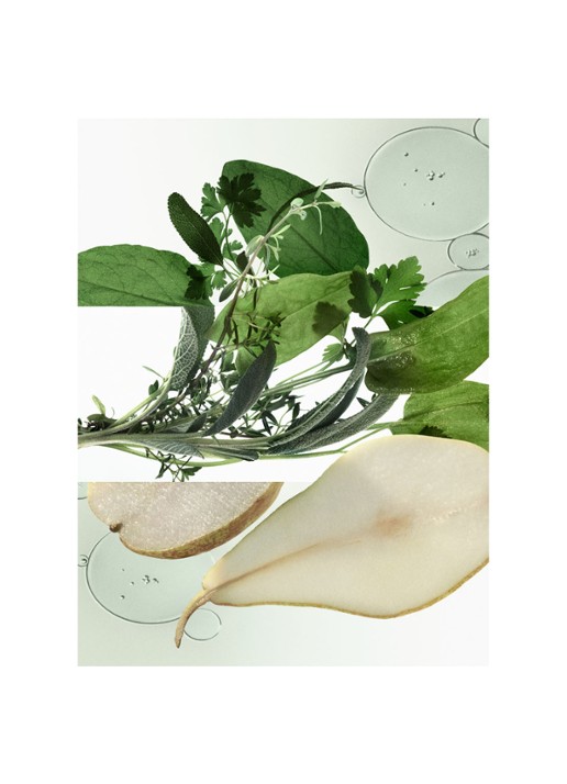 HERMÈS H24 Herbes Vives Eau de Parfum - detail 5 undefined