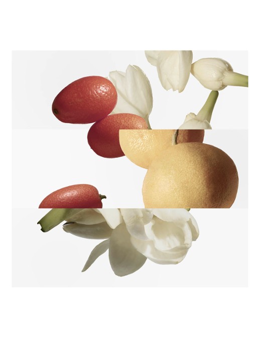 HERMÈS Le Jardin de Monsieur Li Eau de Toilette - navulling - voorkant 4 undefined