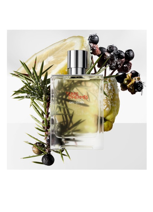 HERMÈS Terre d’Hermès Eau Givrée Eau de Parfum - detail 2 undefined