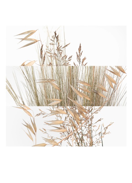 HERMÈS Un Jardin à Cythère Eau de Toilette navulling - detail 4 undefined