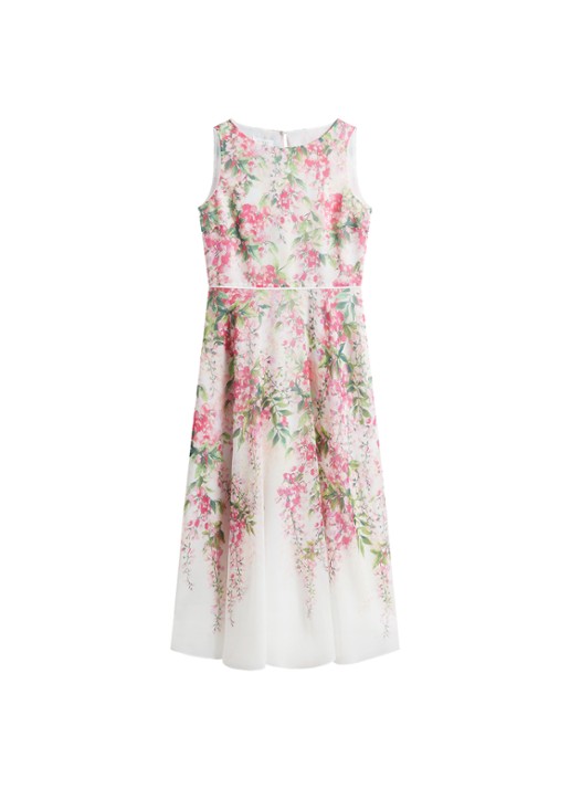 Hobbs Carly midi jurk met bloemenprint