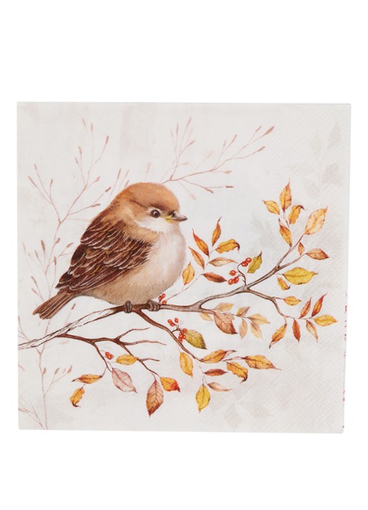 Ihr Ideal Home Autumn Melody servet 33 x 33 cm set van 20