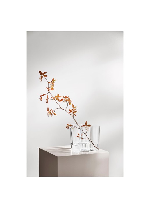 Iittala Alvar Aalto vaas 16 cm - detail 3 transparant