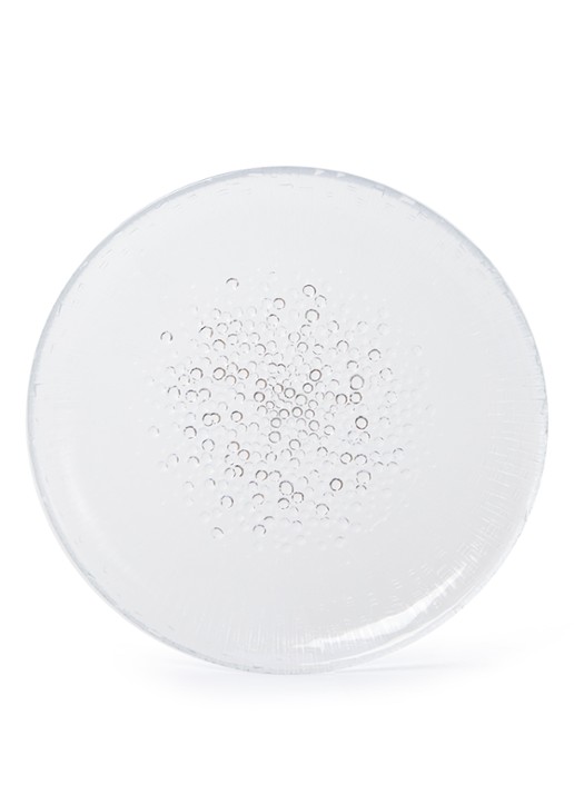 Iittala Dinerbord 25 cm