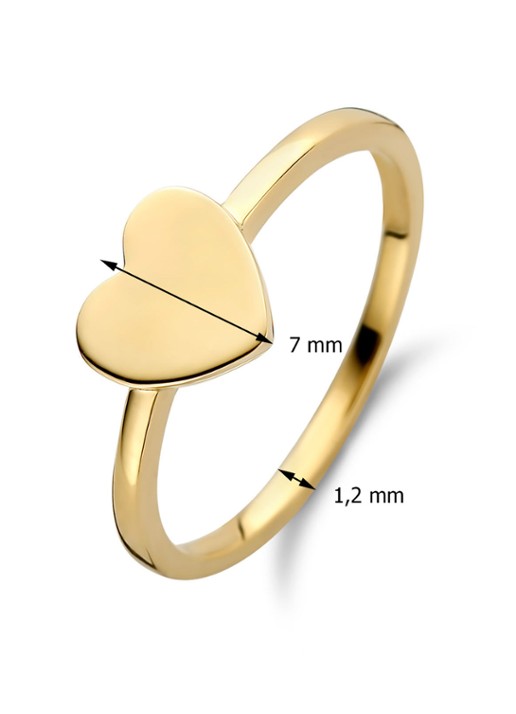 Diamond Point Dames Geelgouden ring Dreamer in de kleur Geelgoud