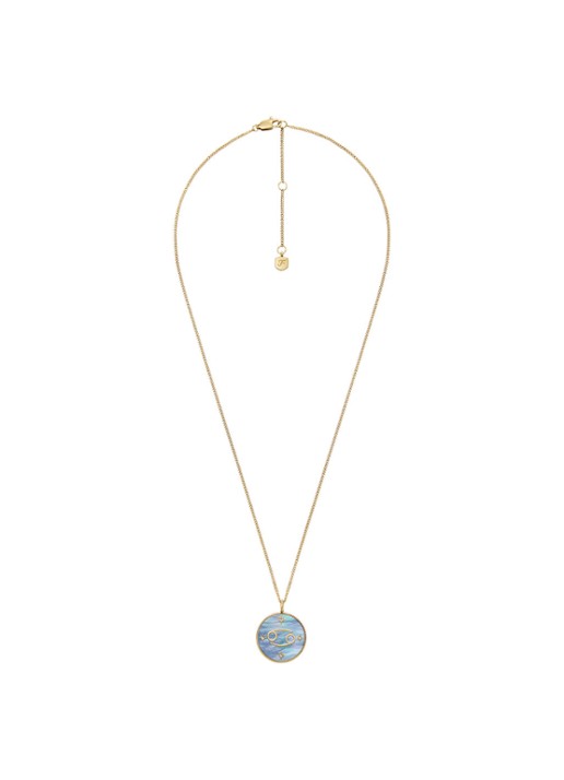 Fossil Dames Ketting met hanger JF04841710 in de kleur Goud