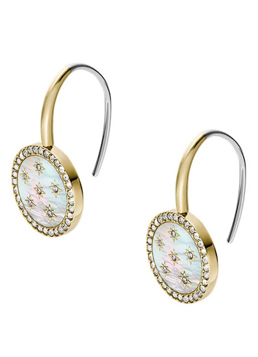 Fossil Dames Jewelry oorhangers JF04867710 in de kleur Goud