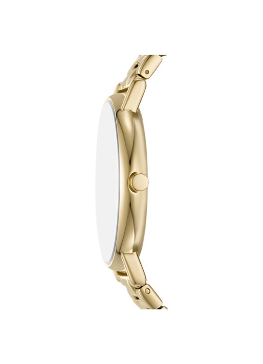 Skagen Heren Signatur horloge SKW6945 in de kleur Goud