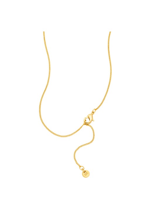 Michael Kors Dames Premium ketting verguld MKJ8627710 in de kleur Goud