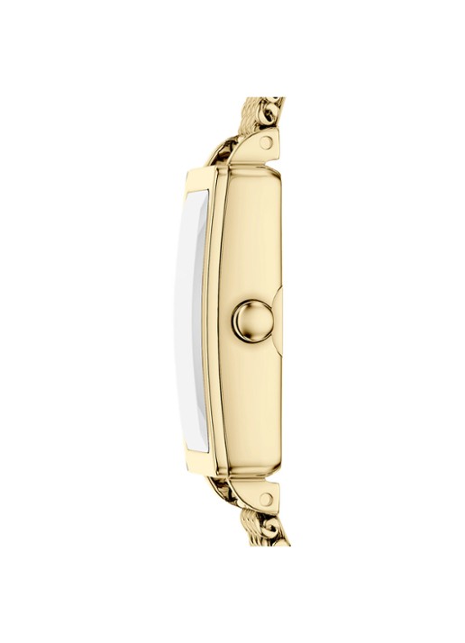 Skagen Dames Hagen Micro horloge SKW3186 in de kleur Goud