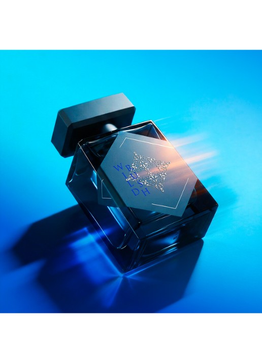 INITIO Parfums Privés Wild Rush Eau de Parfum 90ml Geuren - Deal