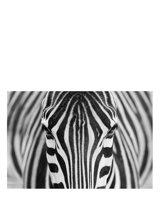 IXXI Zebra wanddecoratie 80 x 120 cm - voorkant grijs
