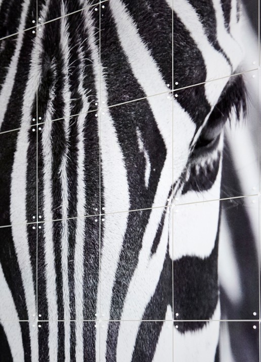 IXXI Zebra wanddecoratie 80 x 120 cm - voorkant 2 grijs