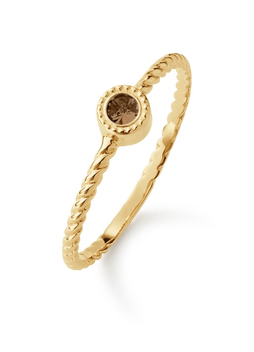 Jackie 14K Gold Kirstenbosch ring van 14 karaat geelgoud - voorkant 3 bruin
