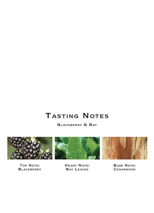 Jo Malone London Blackberry & Bay Body & Hand Wash - douchegel & handzeep 250 ml - detail 3 undefined
