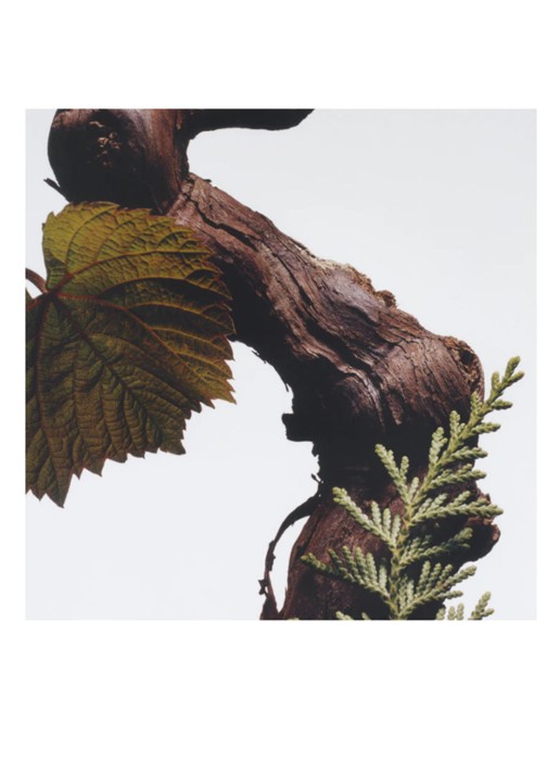 Jo Malone London Cypress & Grapevine geurkaars - detail undefined