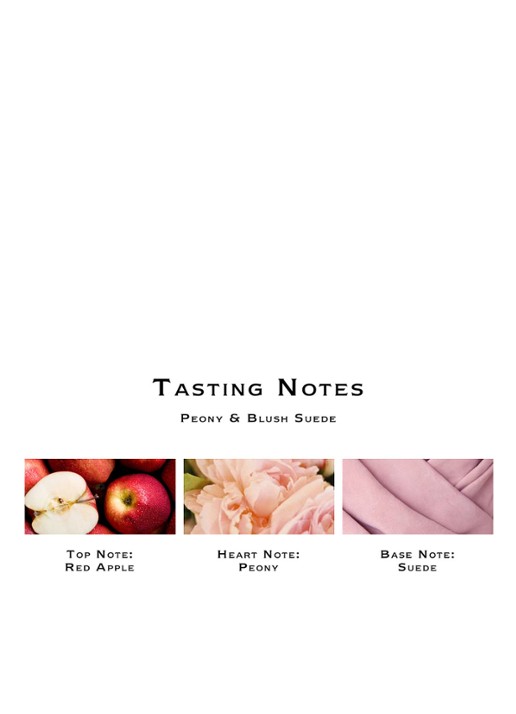 Jo Malone London Peony & Blush Suede geurstokjes - detail 2 undefined