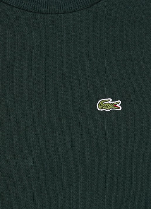 Lacoste Sweater met streepprint en logoborduring - detail donkergroen