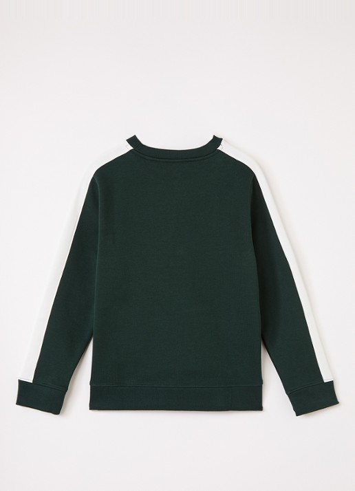 Lacoste Sweater met streepprint en logoborduring - voorkant 3 donkergroen