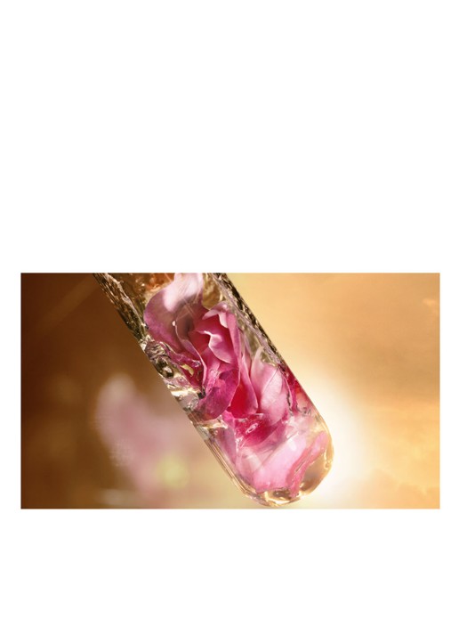 Lancôme Absolue Rich Cream - dag-en nachtcrème - detail 6 undefined