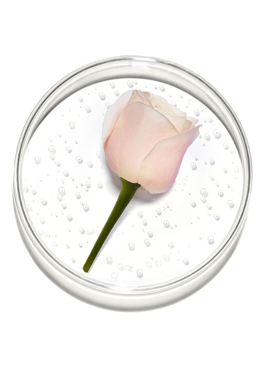 Lancôme Storm & Roses Eau de Parfum - detail 2 beige