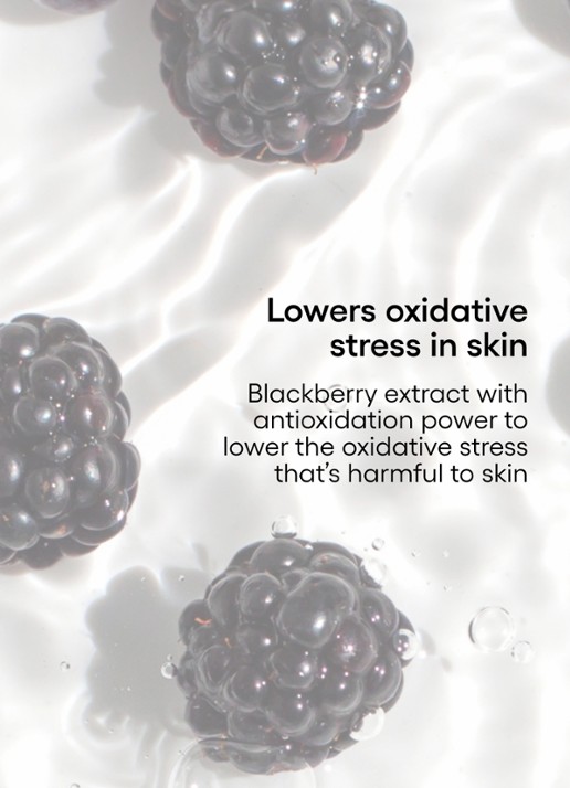 Laneige Water Bank UV Sunscreen SPF50+  - zonnebrand voor het gezicht - detail 6 undefined