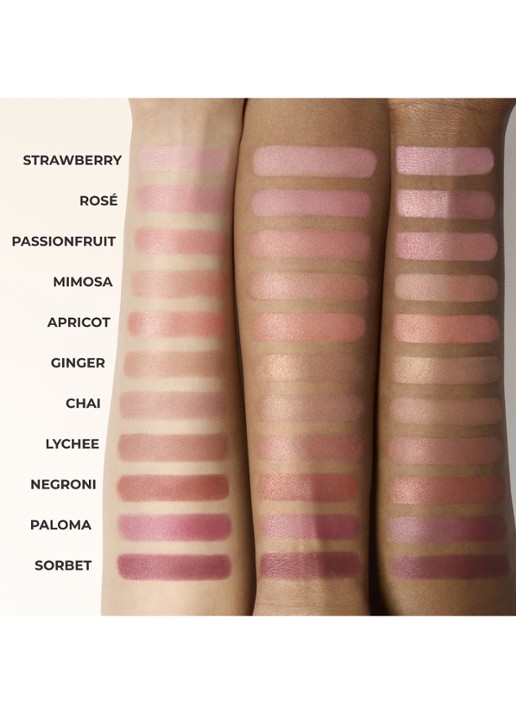Laura Mercier Blush Color Infusion Duo - blush - detail 4 ginger