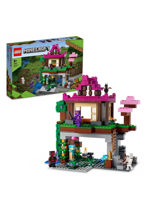 LEGO De Trainingsplaats bouwset - 21183 - detail multicolor