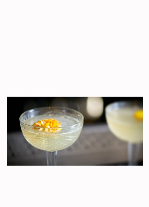 Libbey Hobstar coupe 25 cl - detail 2 transparant