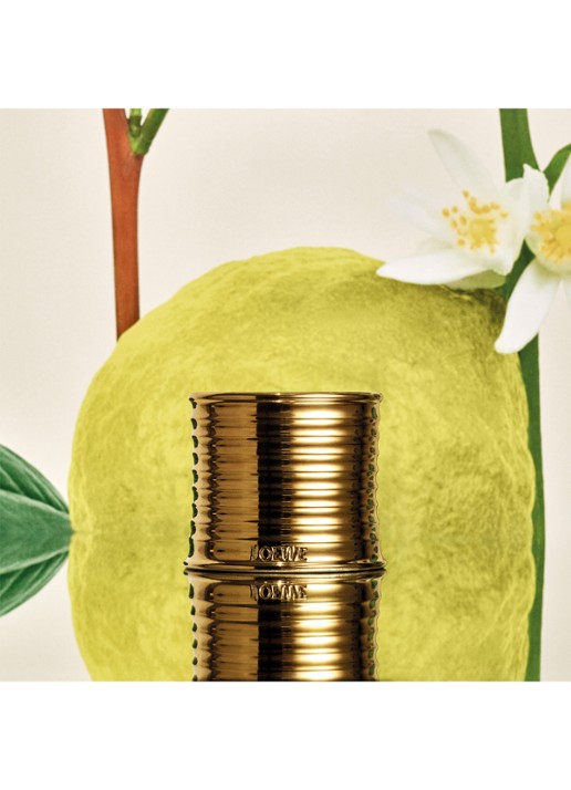 LOEWE Earl Grey Scented Candle - geurkaars 320 gram - detail 2 undefined