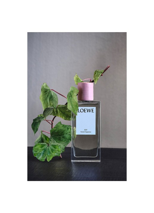 LOEWE Ivy Room Spray - huisparfum 150 ml - detail 5 undefined