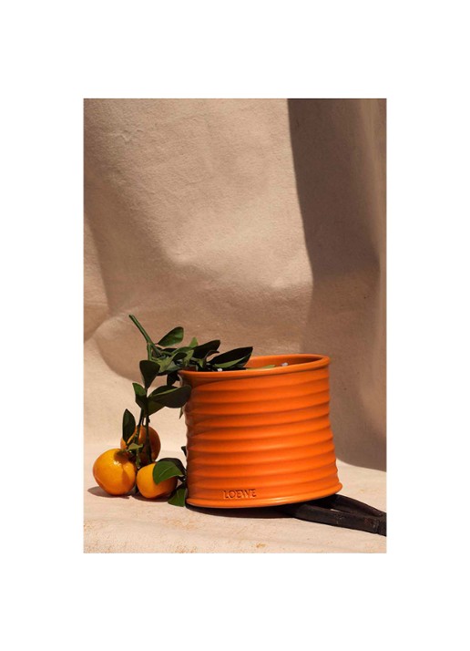 LOEWE Large Orange Blossom Candle - geurkaars 2120 gram - detail 4 undefined