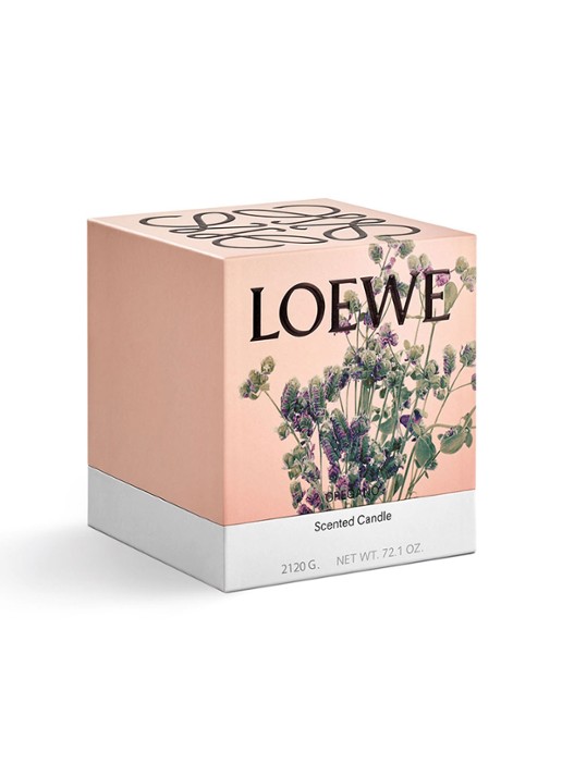 LOEWE Large Oregano Candle - geurkaars 2120 gram  - detail 3 undefined