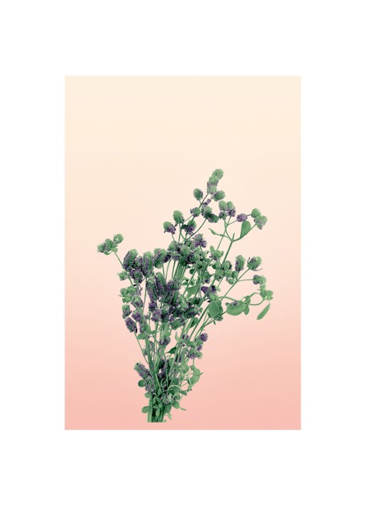 LOEWE Large Oregano Candle - geurkaars 2120 gram  - detail 4 undefined