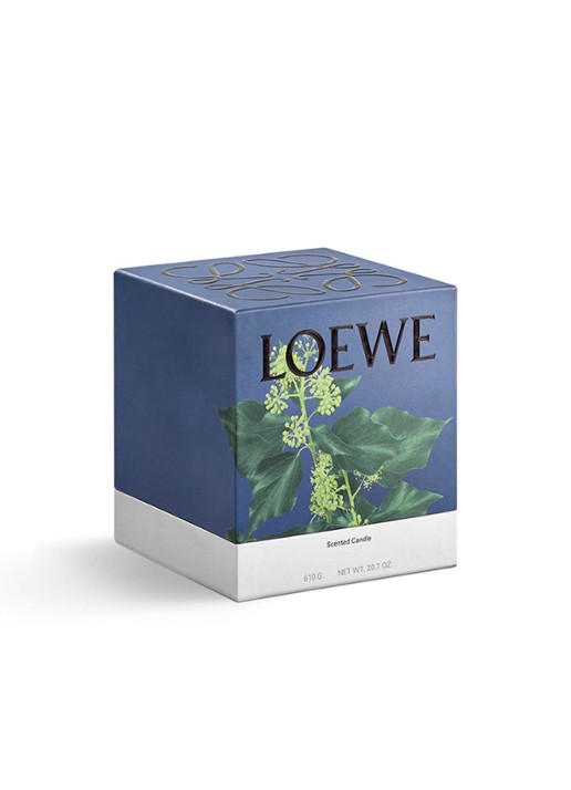 LOEWE Medium Ivy Candle - geurkaars 610 gram - detail 3 undefined