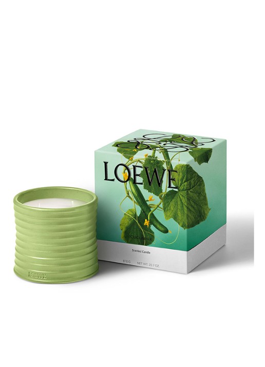 LOEWE Small Cucumber Candle - geurkaars 170 gram - detail 5 undefined