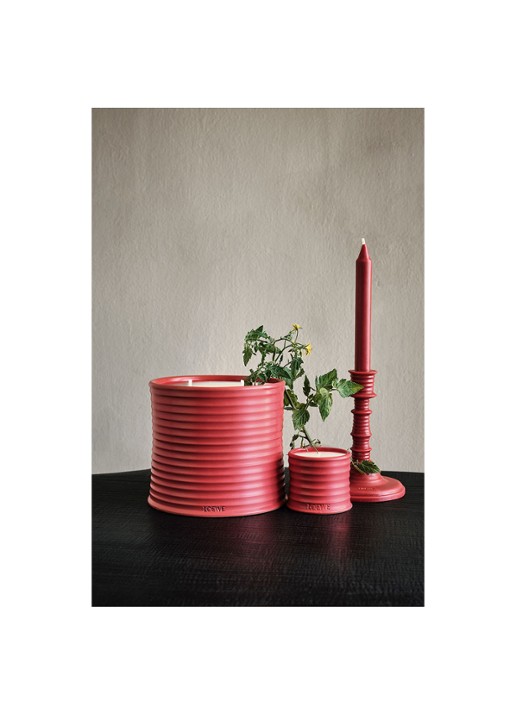 LOEWE Small Tomato Leaves Candle - geurkaars 170 gram - detail 5 undefined