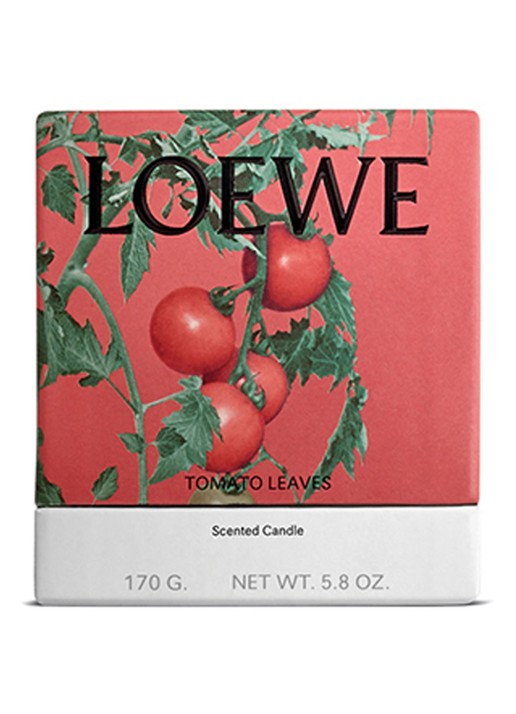 LOEWE Small Tomato Leaves Candle - geurkaars 170 gram - voorkant 7 undefined