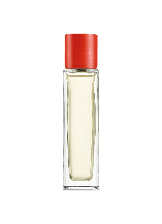 LOEWE Tomato Leaves Room Spray - huisparfum 150 ml - detail 4 undefined