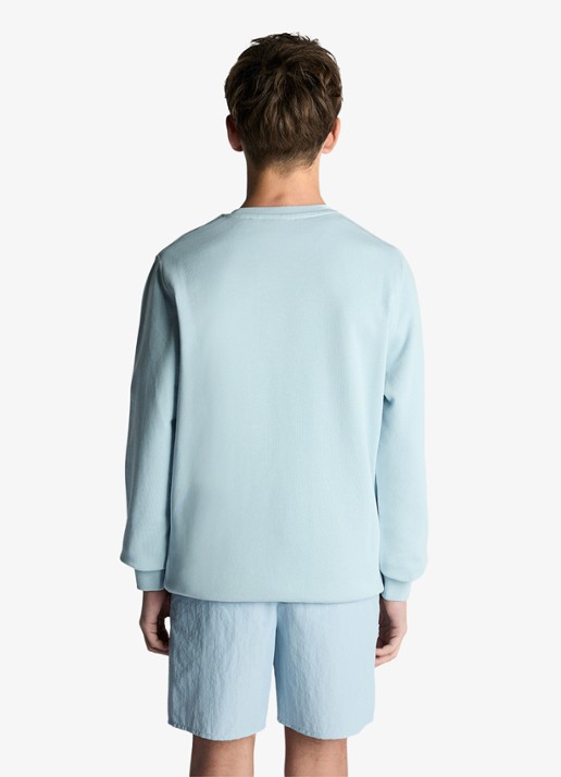 Lyle & Scott Sweater met logoborduring - achterkant 3 blauw