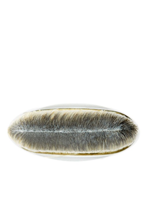 M·A·C 190 Foundation Brush - kwast - detail 4 undefined
