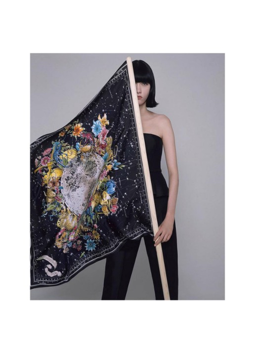 Maria Luisa Frisa Dior Scarves. Fashion stories