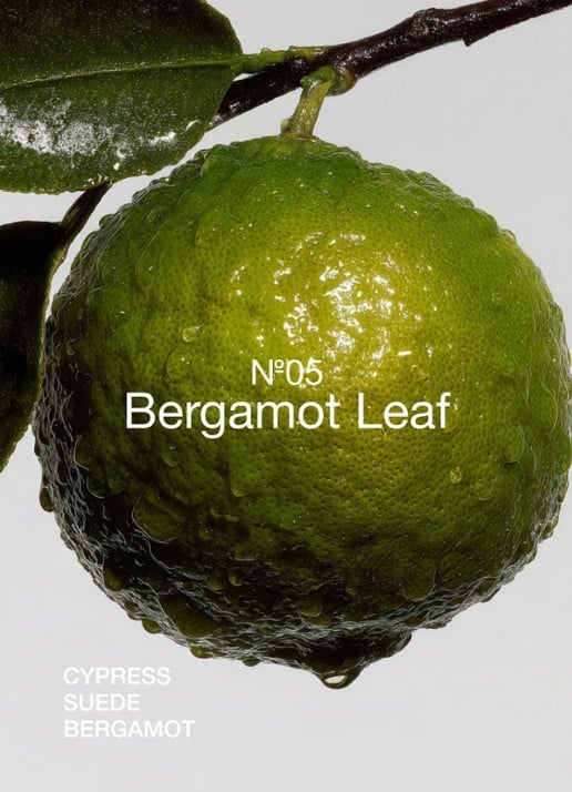 Marie-Stella-Maris No.05 Bergamot Leaf handzeep 250 ml - achterkant transparant