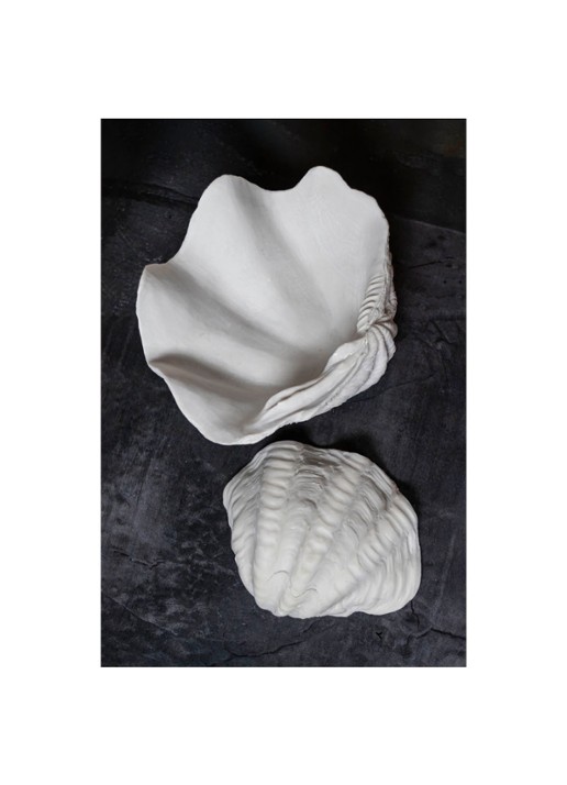 Mette Ditmer Shell ornament 13 cm - detail 3 wit